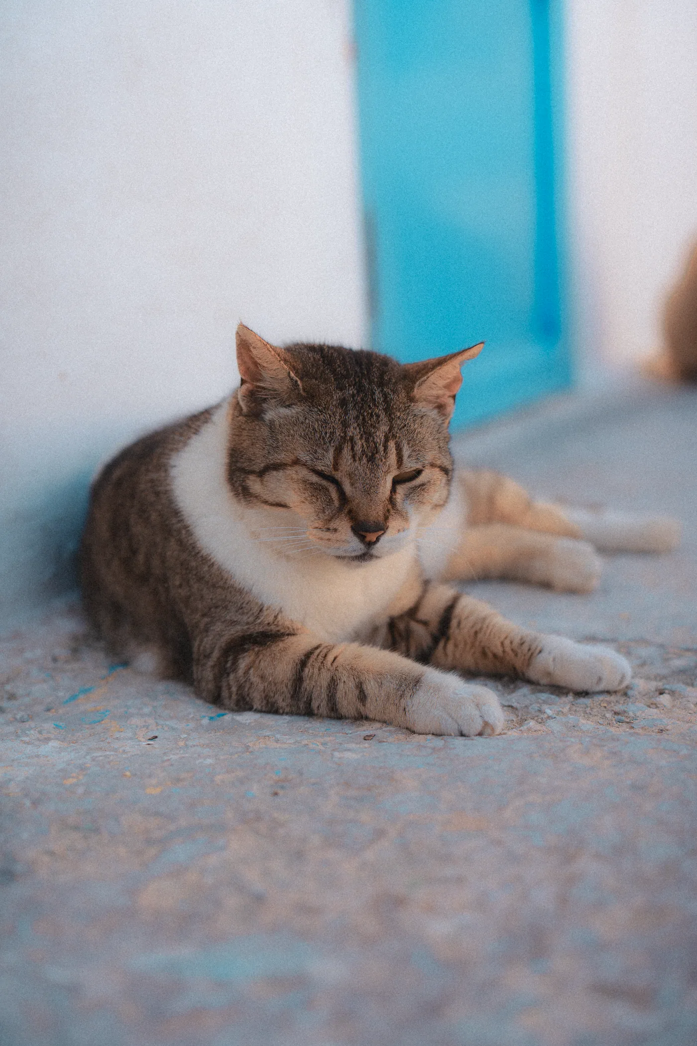 Malta 13