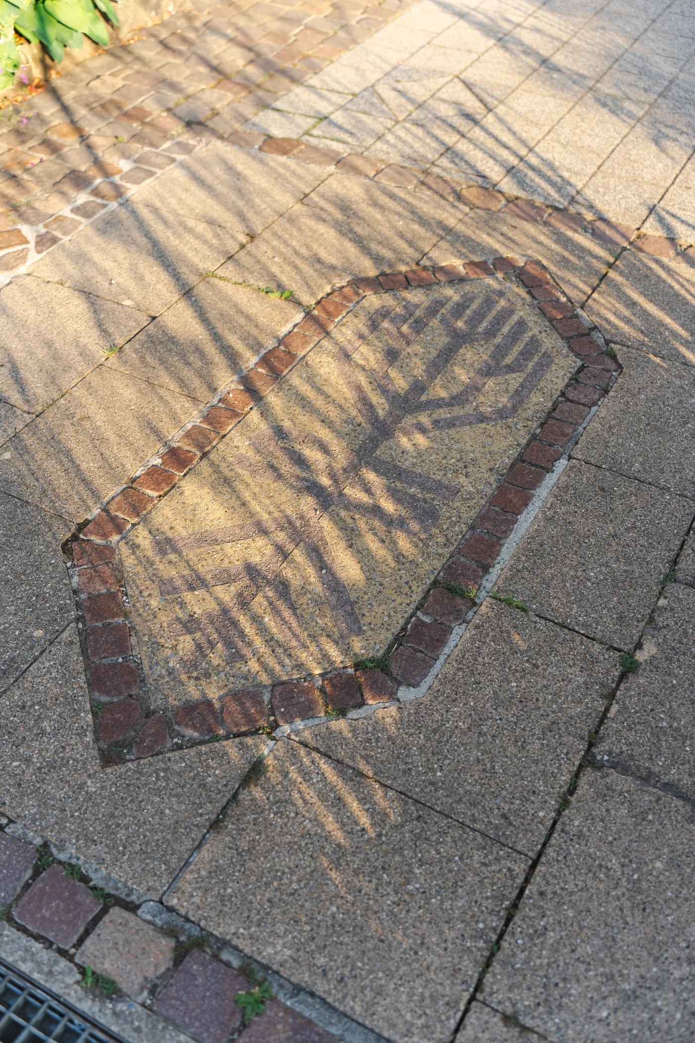 Schädeli Gartenbau 34