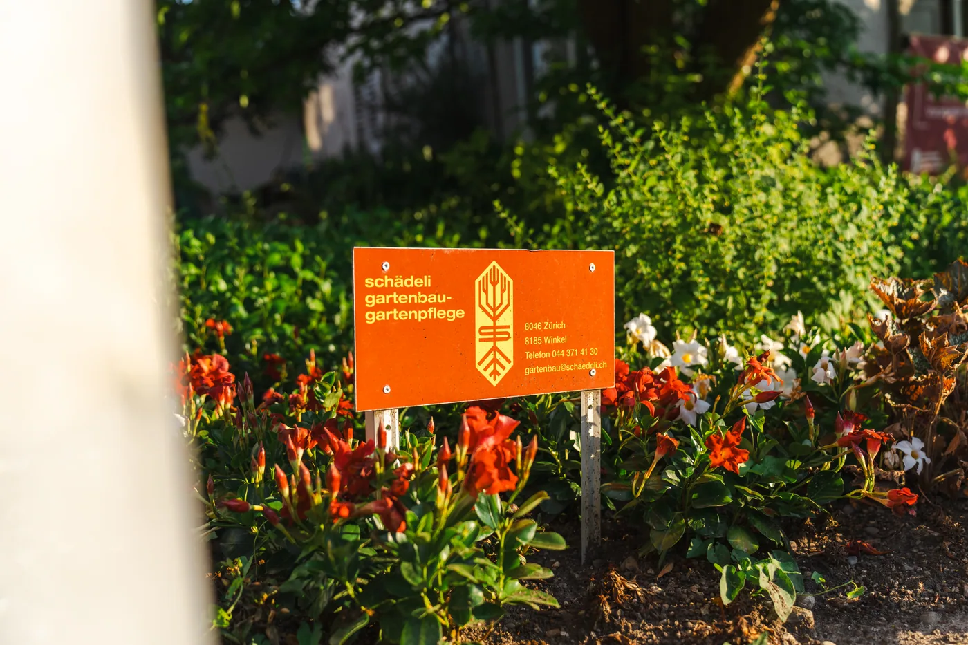 Schädeli Gartenbau 30
