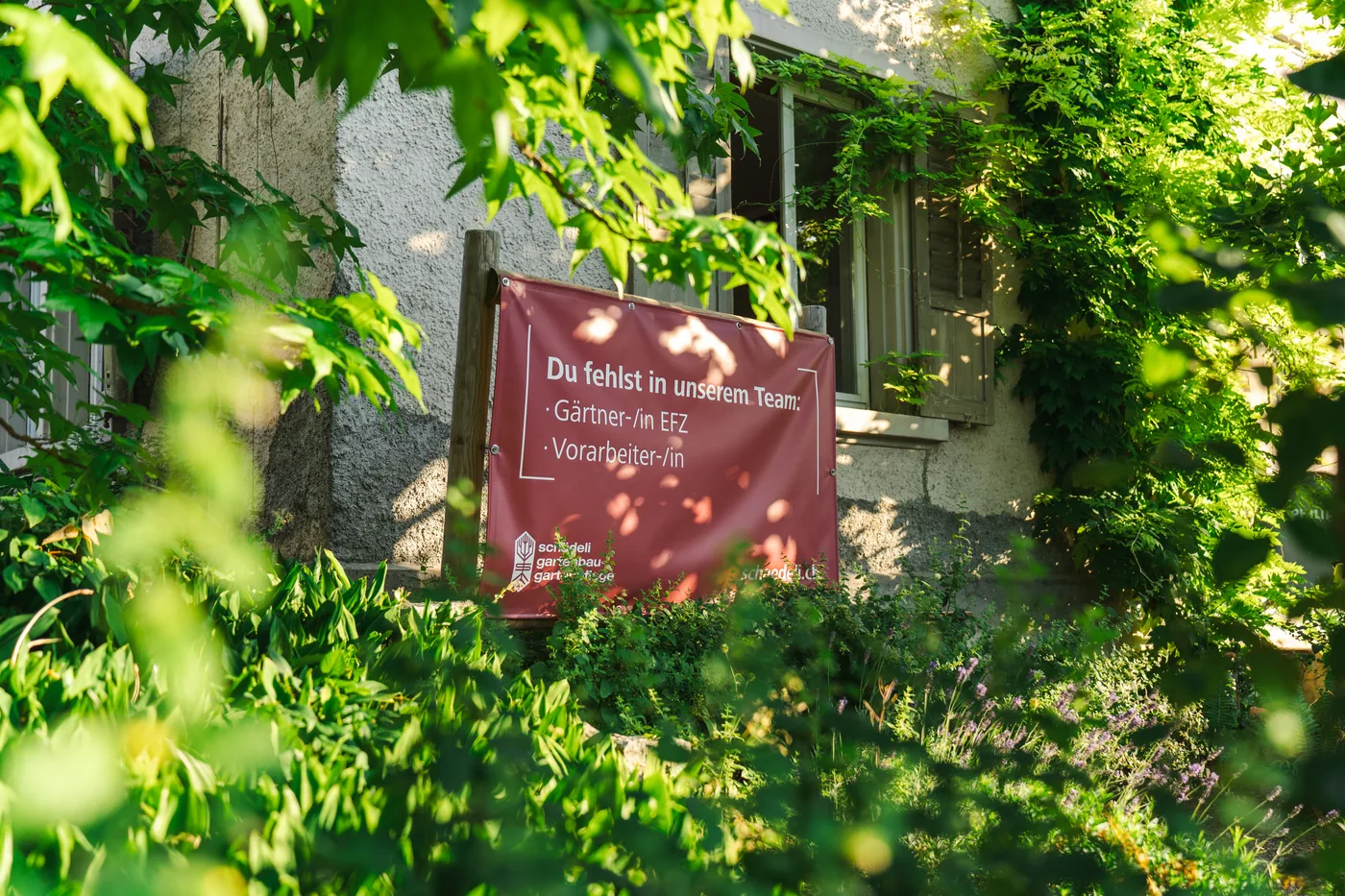 Schädeli Gartenbau 29