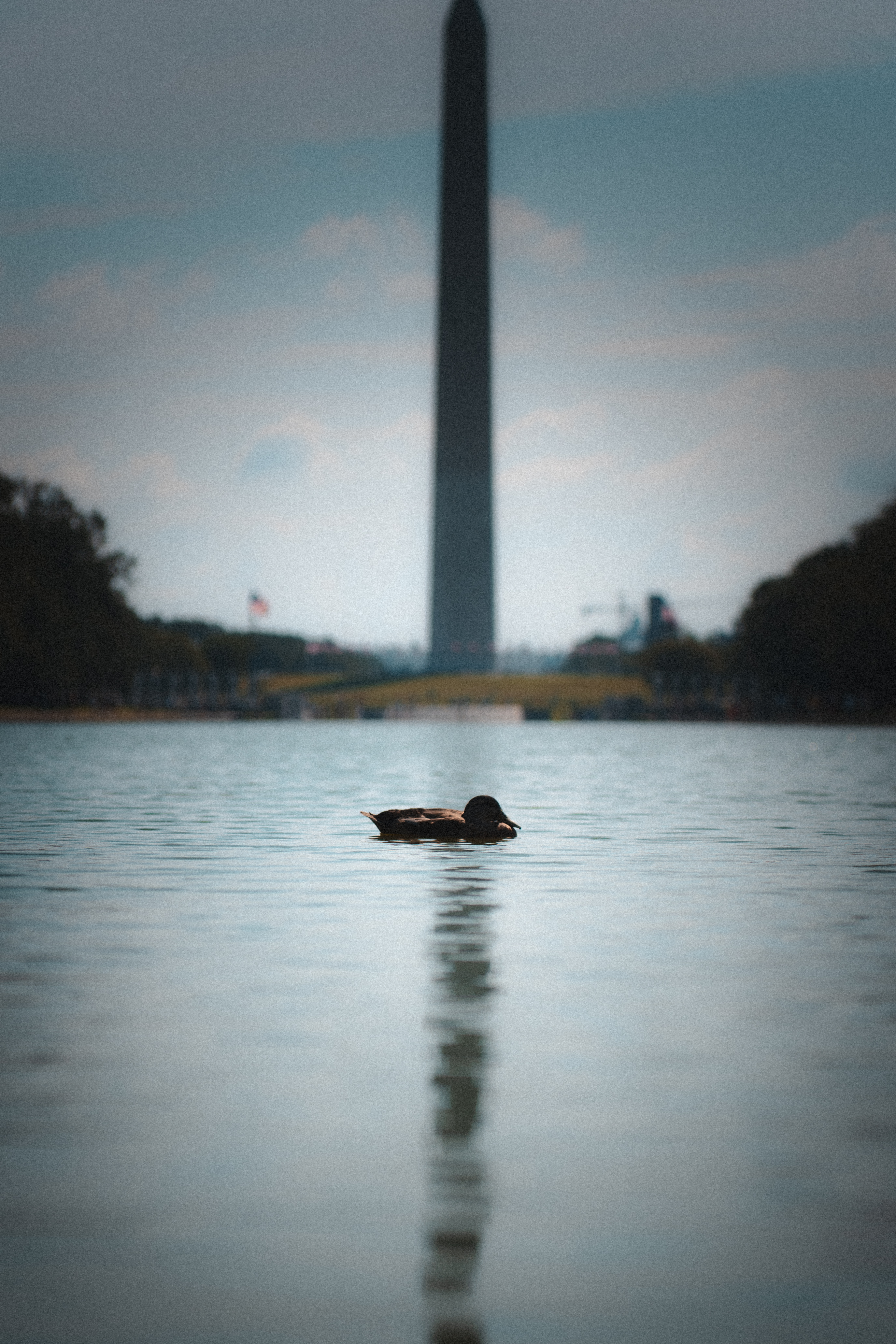 Washington D.C. 3
