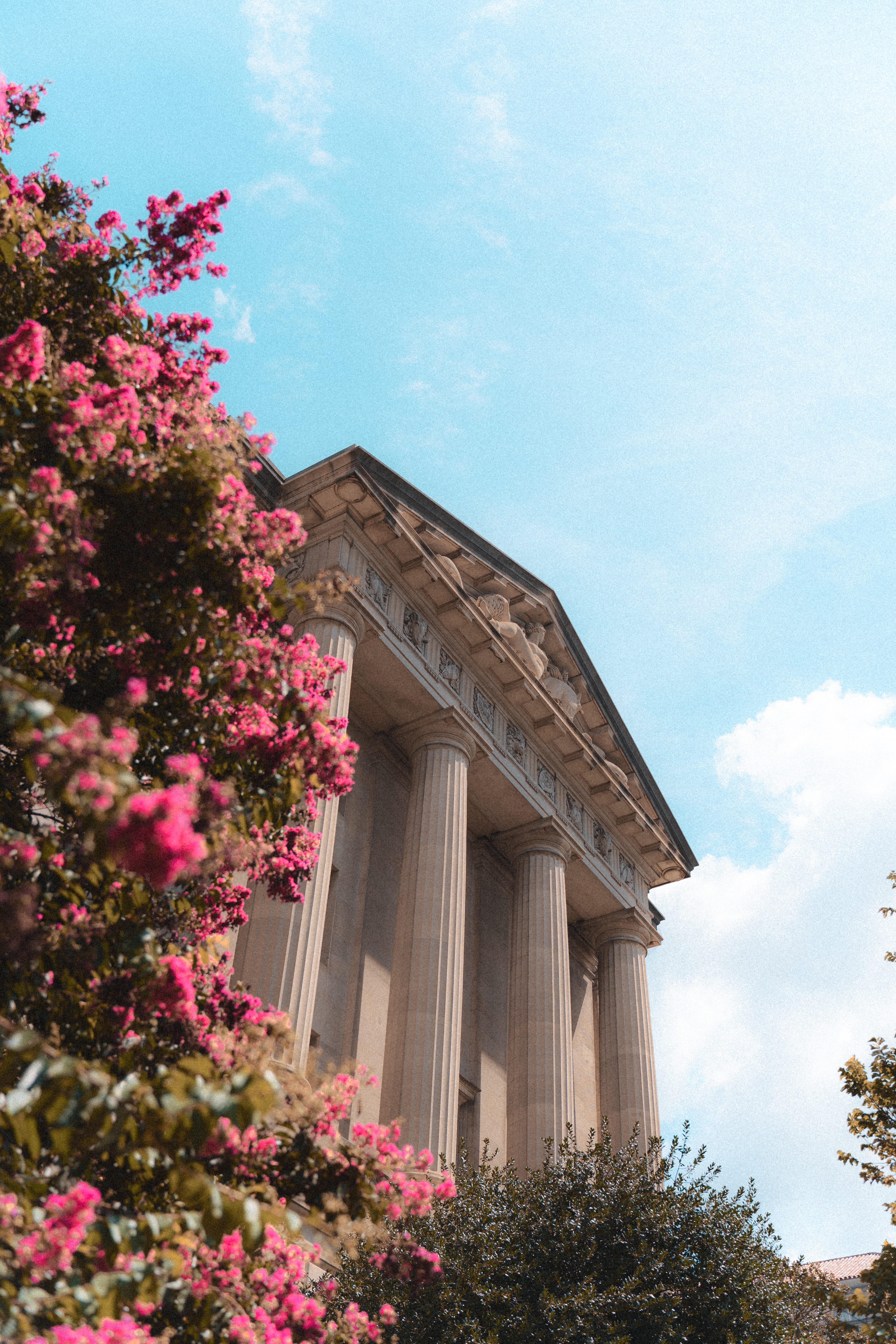 Washington D.C. 15